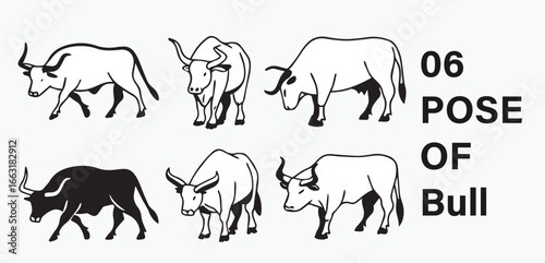 Different Pose of Bull Illustration