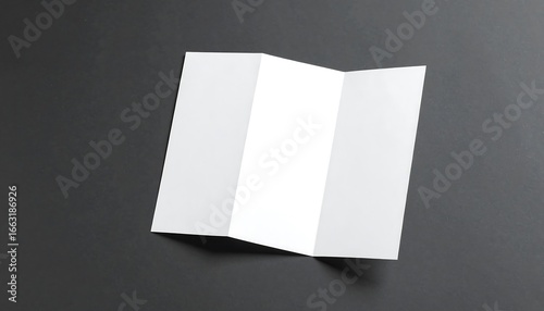 Blank tri-fold brochure on dark background (1)
