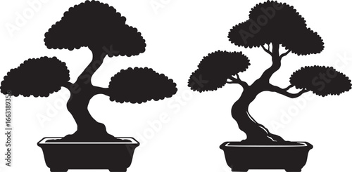 Two elegant bonsai trees in pots silhouette
