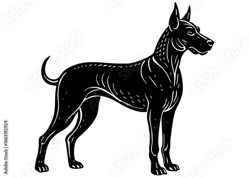 Great Dane Standing Silhouette Linocut, Giant Dog Vector Art