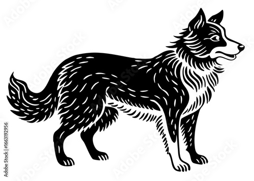 Border Collie Herding Silhouette Linocut, Intelligent Working Dog Vector Illustration