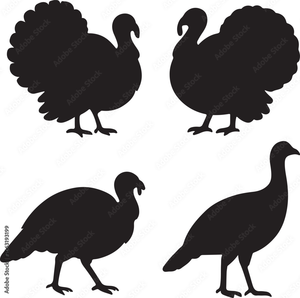 Fototapeta premium Set of Turkey Bird Silhouette Vector Illustrations