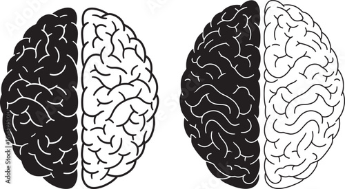 Two brain hemispheres silhouette