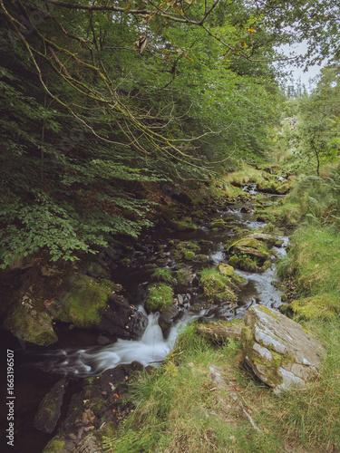 Принти на полотні A picturesque brook a tributary of Errwood reservoir in Derbyshire, UK