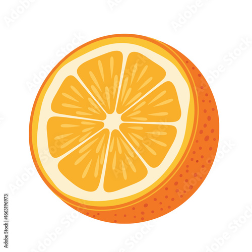 Fresh Orange Half Slice Vector Illustration