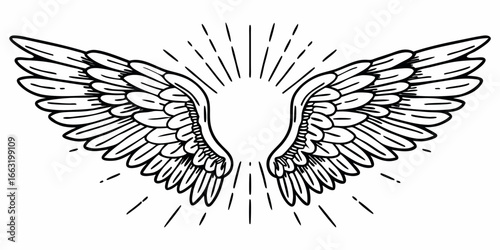 Illustration of symmetrical wings with radiating lines creating a halo effect in black and white style on transparent background