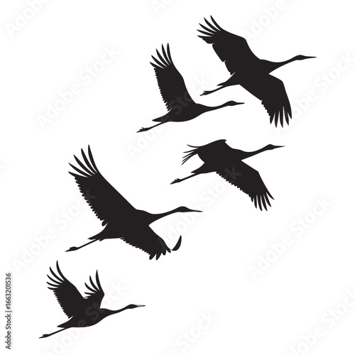 Flock of cranes flying silhouette