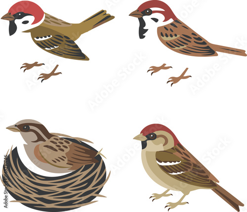 Bird Species Isometric Flat Vector Icons Sparrow, Tree Dweller, City Dweller, Brown Sparrow, Small Songbird, Nesting Bird
