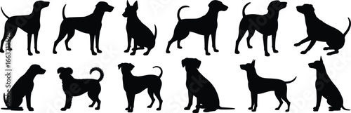 Dog silhouette set, black animal icons, various breed shapes, standing sitting lying poses, pet design, canine vector illustration, domestic animal art