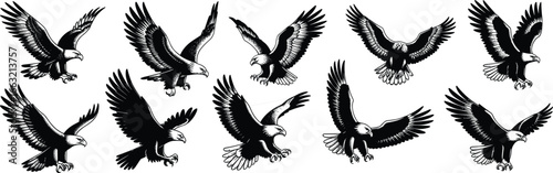 Eagle silhouette illustration collection, flying and landing poses, detailed bird of prey artwork, wildlife drawing, raptor design, nature clipart, freedom concept