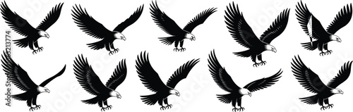 Eagle silhouette illustration set, soaring and landing poses, detailed bird of prey artwork, wildlife drawing, raptor design, nature clipart, freedom symbol