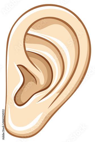 Clean graphic illustration of a human ear anatomy side view in beige and brown tones