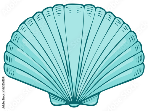 Aquamarine Seashell with Intricate Details, Hand Drawn Style, Coastal Decor Illustration