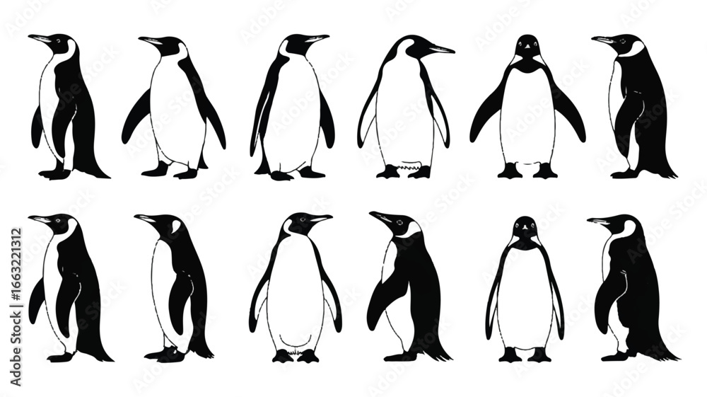 Obraz premium A black and white illustration of twelve penguin silhouettes arranged in two rows. 