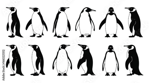 A black and white illustration of twelve penguin silhouettes arranged in two rows.  