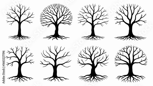 Collection of bare tree silhouettes with exposed roots isolated on white background