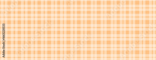 Plaid simple print vector background