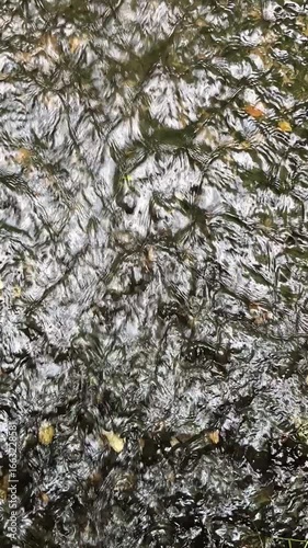 texture of floating water in the river