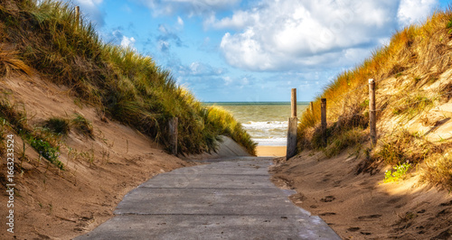 Sandy dunes access coast to sea beach
