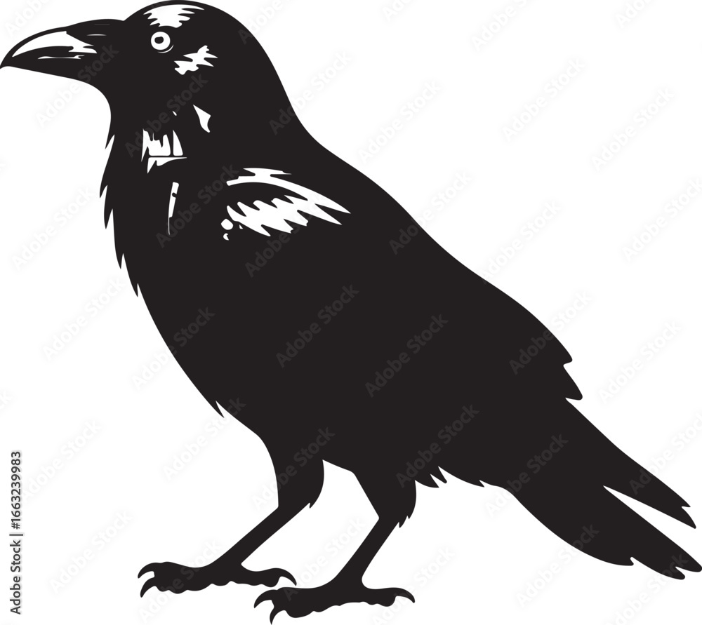 Obraz premium Black crow vector icon, crow silhouette