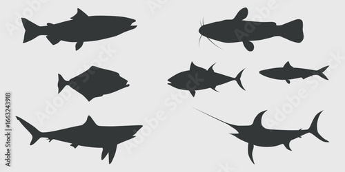 a set of silhouettes of seven different types of fish on a gray background. Among them, you can recognize the following types: salmon, catfish, angelfish, tuna, mackerel, shark, and swordfish.
