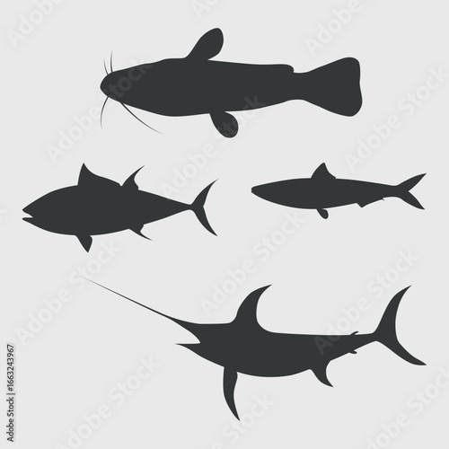 a set of silhouettes of four different types of fish on a gray background. Among them can be recognized: catfish (with a mustache), tuna, mackerel and swordfish (with a long sword-like snout).