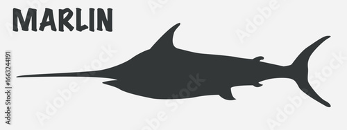 Silhouette of a marlin, a fish with a long sharp snout, on a light background. Next to the silhouette is the word “MARLIN” in large letters.