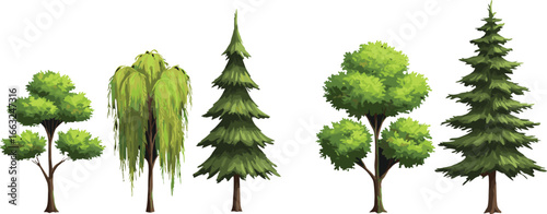 Beautiful collection of different green trees, willow tree, pine tree, forest illustration, natural landscape elements, botanical design, eco friendly, nature art