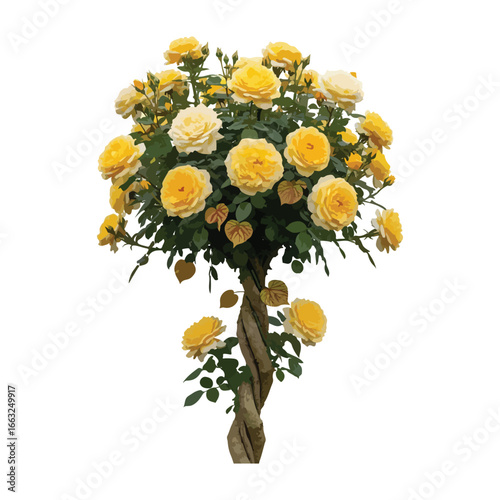Elegant Topiary of Yellow Roses - A Floral Masterpiece of Beauty and Grace A Charming Addition to Gardens and Celebrations