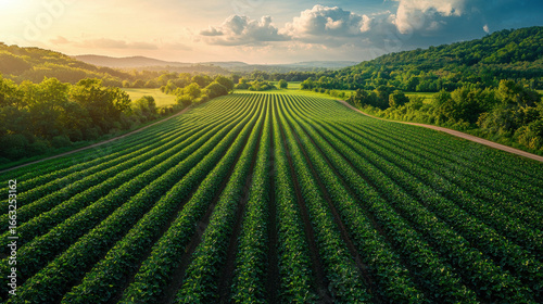 A verdant panorama, a symphony of nature's artistry, unfolds from a bird's-eye perspective. Generative AI, a marvel of technological advancement, paints a vibrant picture of a sprawling farm 
