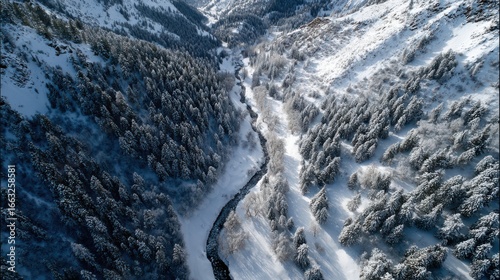 Wallpaper Mural Aerial capture of snow-coated mountain valley with frosty trees, winding snowy paths carving through the white wilderness Torontodigital.ca