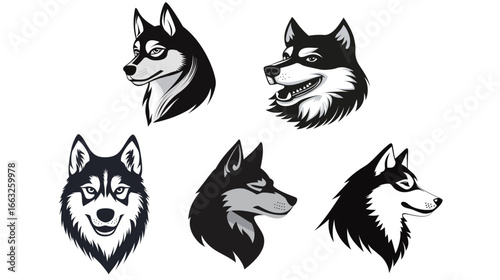 Husky Dog Illustration Vector Graphic Design