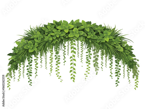 Creeper Plant - Vector Hanging Green Plant Arrangement – Lush Tropical Foliage for Interior Design & Decor.
