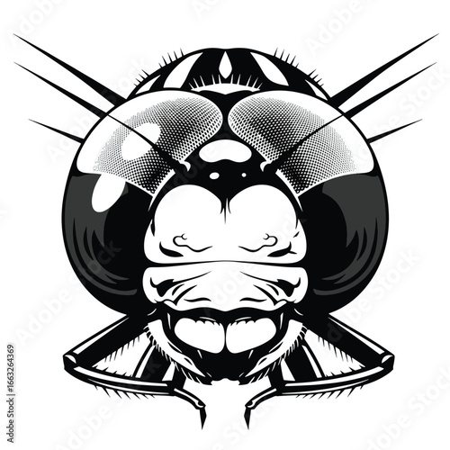 A detailed monochrome illustration of a dragonfly's head, showcasing intricate details of its eyes and mouth.