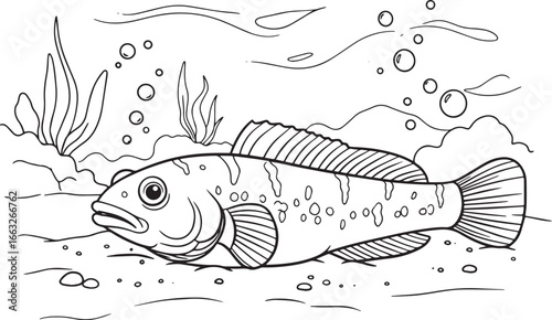 A detailed line drawing of a fish on the ocean floor with aquati
