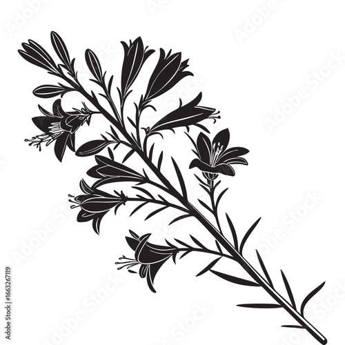 Broom Flowers Silhouetee 1.eps