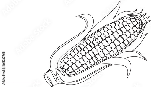 Elegant continuous line drawing of ripe corn cob isolated on whi