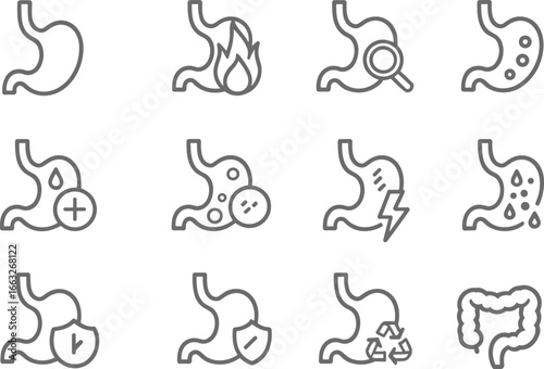 Digestive system icons, stomach pain illustration, acid reflux, gastrointestinal health, stomach protection, intestine care, gastric problem, digestion, healthcare, anatomy