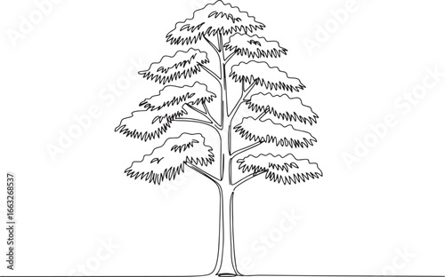 Elegant single line drawing featuring a majestic Metasequoia gly