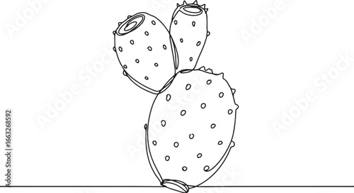 Elegant Line Art Depicting a Prickly Pear Fruit, Minimalist Bota