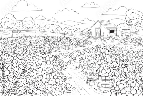 Outlined Illustration of a Cranberry Plantation with Barn and Fi