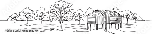 Simple line illustration of a rural cabin in a pecan plantation