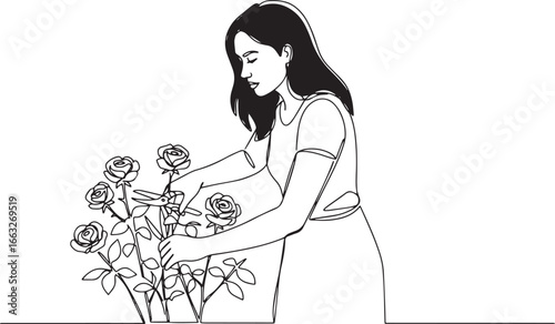 Continuous line illustration of a woman tending to roses in the