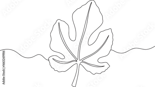 Elegant Minimalist Fig Leaf Continuous Line Drawing Botanical Il