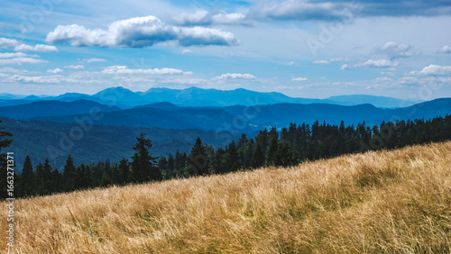 Fototapeta Naklejka Na Ścianę i Meble -  Hala Rysianka, Beskid Żywiecki