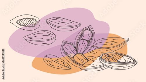 Almond nuts nutrition healthy food snack organic vegan raw almonds protein diet culinary ingredient concept art