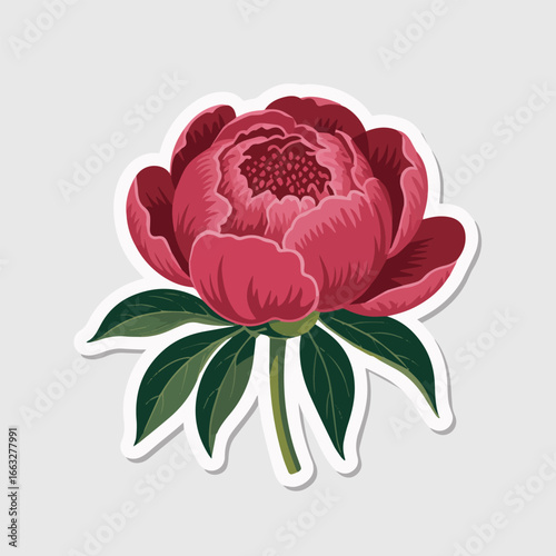 A beautiful peony flower illustration with leaves, perfect for stickers, icons, or graphic designs related to nature, beauty, and romantic events