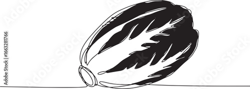 Elegant simplicity: Radicchio depicted in a continuous line draw