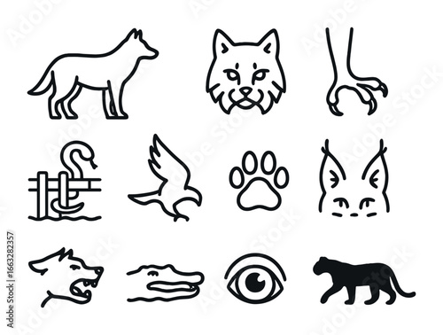 Urban Predator Icons. Outline icon set of predators in urban zones: wolf silhouette, coyote icon, bobcat head,