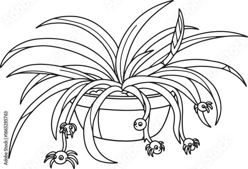 Stylized Spider Plant Illustration with Playful Seedlings in Bla
